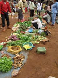 Market in Ban Lung